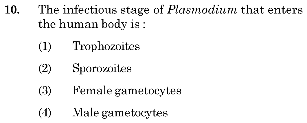 NEET 2020 Botany Question 10