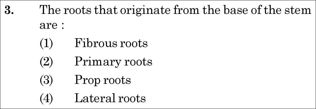 NEET 2020 Botany Question 3