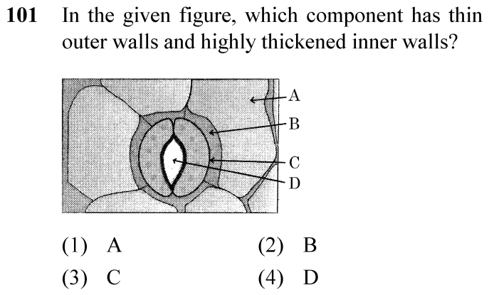 NEET 2024 Botany Question 101