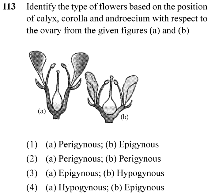 NEET 2024 Botany Question 113