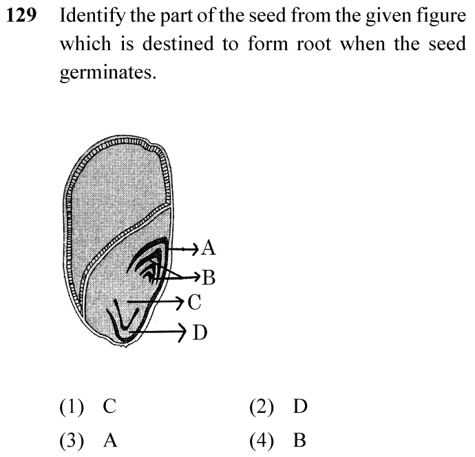 NEET 2024 Botany Question 129