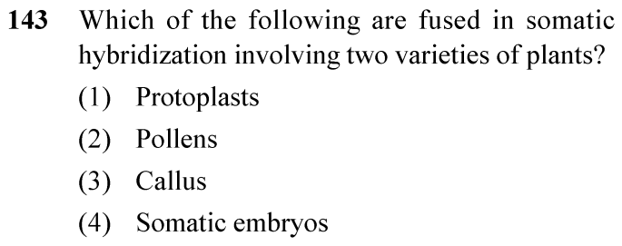 NEET 2024 Botany Question 143