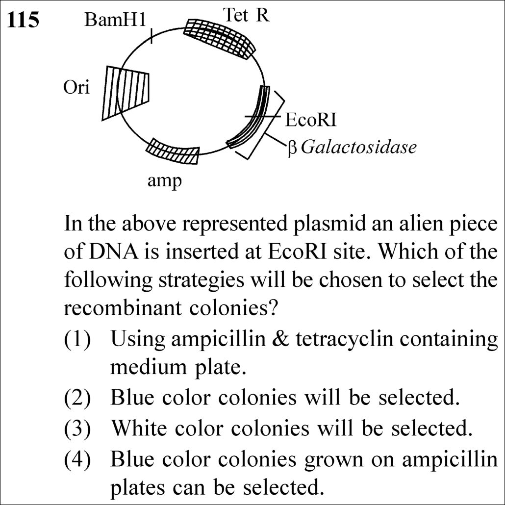 NEET 2025 Botany Question 115